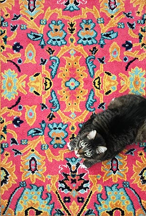Maintenance and care of Western rugs in the home
